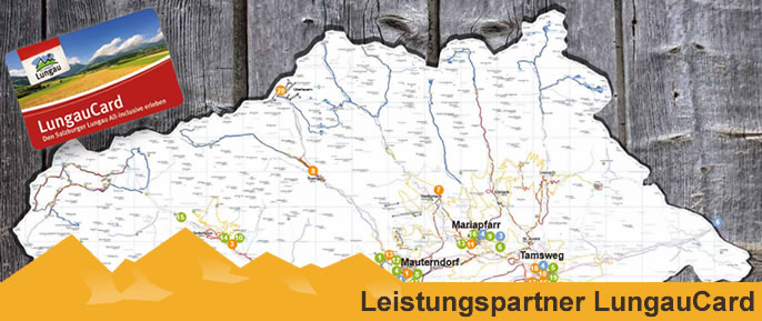Leistungspartner LungauCard